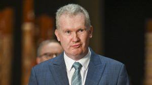Employment-and-workplace-relations-minister-Tony-Burke